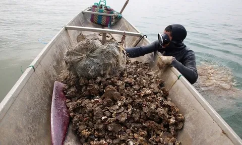 Nghề nguy hiểm ở Quảng Trị