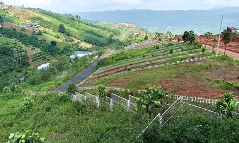 Đất nền phân lô 'chôn vốn' 4 năm, rao bán cắt lỗ không ai mua