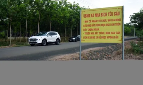 Lý do đất nền phân lô bán cắt lỗ vẫn không có người mua