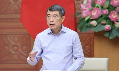 Thủ tướng: Sáp nhập, giải thể các cơ sở giáo dục không đạt chuẩn