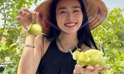 Mỹ nhân Việt làm chủ 3 công ty, sống trong nhà phố 100m2, sân thượng trồng gì mà lúc nào cũng trĩu quả?