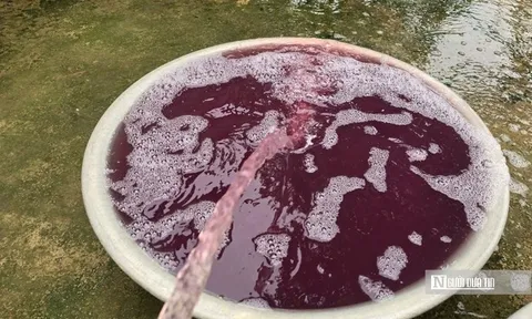 Vụ nước giếng khoan chuyển màu tím, hôi tanh: Kết quả xét nghiệm nhiều chỉ số vượt chuẩn hàng chục lần