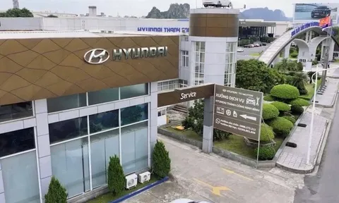 Doanh thu trên 1.000 tỷ đồng vẫn báo lỗ, công ty con TC Group vào "tầm ngắm" rà soát thuế
