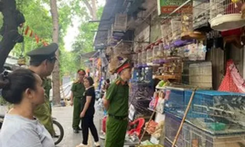 Hà Nội: Công an kiểm tra 3 hộ kinh doanh, thu giữ rất nhiều cá thể chim không rõ nguồn gốc