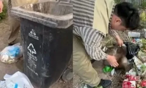Đơn hàng hơn 730.000 nghìn đồng gây bão MXH: Chủ shop lái xe 1.600 km truy tìm khách mua, cảnh sát vào cuộc điều tra