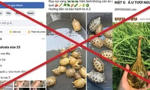 Tràn lan "chợ đen" thú rừng trên mạng