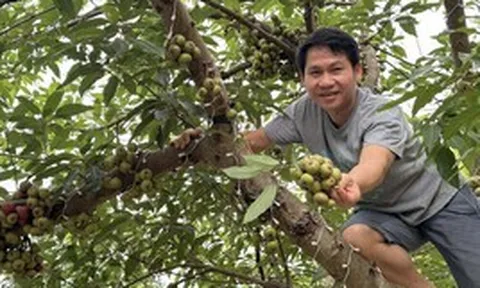 'Ông hoàng nhạc đỏ' mê làm nông, có nhà vườn rộng 4.000m²
