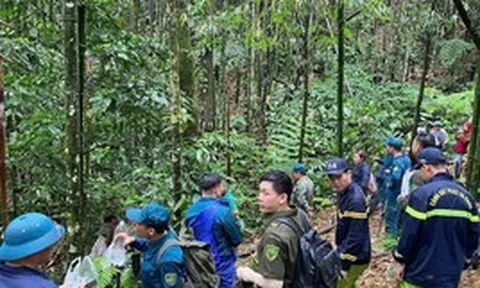Huy động hơn 300 người tìm kiếm người đàn ông mất tích trong rừng sâu