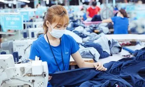 Hé lộ mức thu nhập "khủng" của lãnh đạo Dệt may TNG