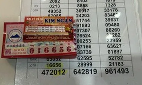 Khách hàng ở TP.HCM trúng 160 tờ vé số, "khuân" hết tiền mặt, hé lộ con số