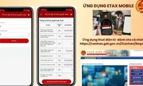 Hơn 95% hồ sơ hoàn thuế tự động, vì sao tiền chưa về tài khoản?