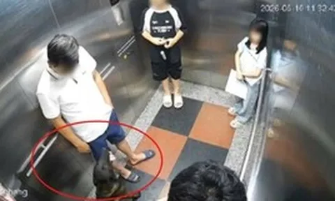 Người đàn ông bị đấm gục khi nhắc cư dân đeo rọ mõm cho chó ở Hà Nội: Cứ ngồi dậy là chóng mặt