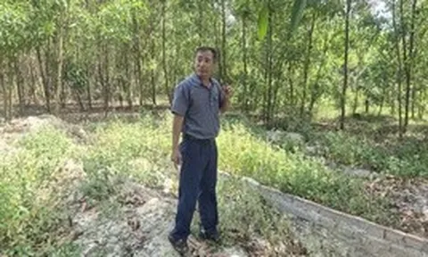 Cựu cán bộ xã xót xa khi mộ con bị di dời