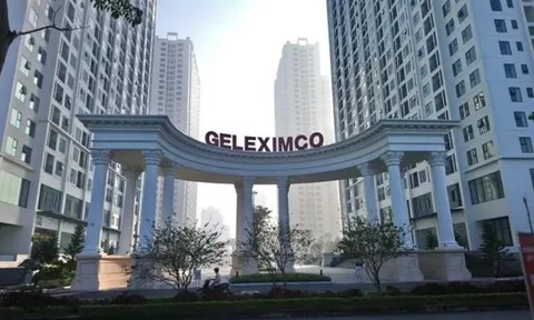 'Ông lớn' bất động sản Geleximco muốn lấn sân sang chăn nuôi