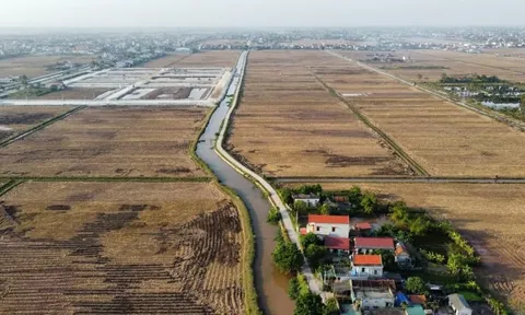 Bỏ cọc hàng loạt sau 'sốt' đấu giá đất vùng quê