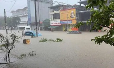 Mưa như trút nước, đường phố Quảng Ninh biến thành sông, ô tô ngập gần tới nóc