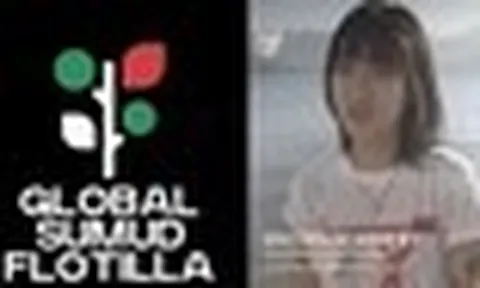 Đại sứ quán Việt Nam thông tin về cô gái Việt bị Israel bắt khi đi cứu trợ Dải Gaza