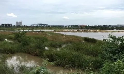 Hơn 2.000 ha đất bị loại khỏi danh sách thí điểm làm nhà ở thương mại