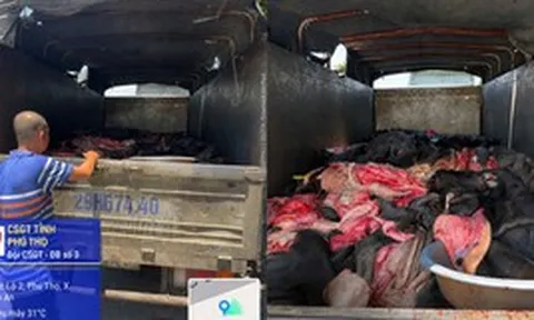 Mở thùng xe tải bịt kín khả nghi giữa Quốc lộ 2, lực lượng chức năng phát hiện cảnh tượng ám ảnh bên trong
