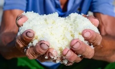 Diêm dân "rang mình" dưới nắng 40 độ, đổi lấy hơn 200 nghìn đồng mỗi ngày