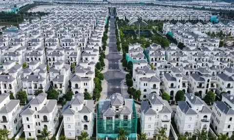 Tổng giám đốc Vinhomes nói rõ về chương trình 'đổi vàng mua nhà'