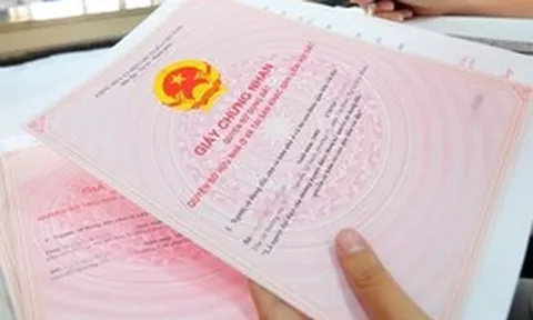Sau hơn 20 năm làm dâu, một tờ giấy khước từ tài sản khiến tôi đau đớn hơn cả mất tiền