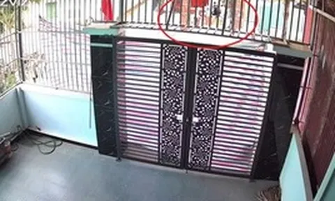Ngủ dậy thấy cổng bị che bạt kín, người phụ nữ Thanh Hóa vội xem camera thì phát hiện sự thật xúc động