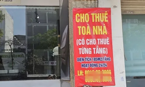 Có nhiều nhà cho thuê, doanh thu trên 1 tỷ đồng/năm nộp thuế ra sao?