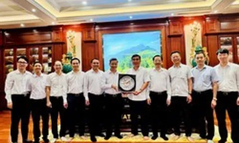 Vinachem làm việc với Tập đoàn Hateco về cung ứng sản phẩm cho dự án "siêu cảng" 1,7 tỷ USD