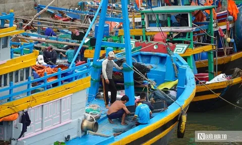 "Khoác áo" nhận diện cho tàu cá, Lâm Đồng hướng tới phát triển bền vững nghề cá