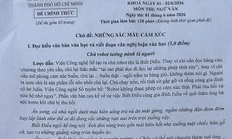 Đề văn lớp 10 tại TPHCM nói về sự cằn cỗi của cảm xúc