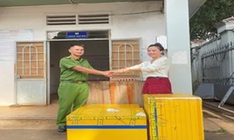 Nhặt được 3 thùng xốp khả nghi, người đàn ông ở Gia Lai lập tức báo công an: Bất ngờ với thứ bên trong thùng