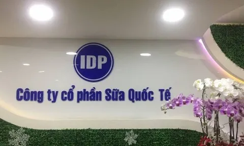 IDP chốt quyền chia cổ tức 100%, Vietcap có thể thu gần 90 tỷ đồng