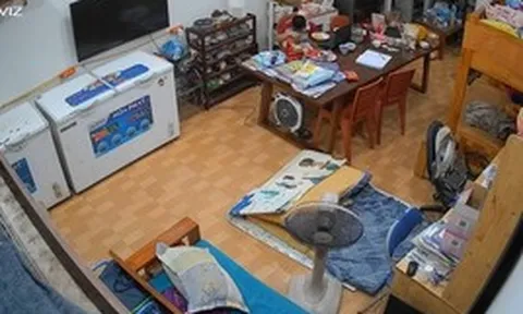 Cún cưng đi lạc, con trai đi đi lại trong phòng rồi làm hành động khiến mẹ cắt camera đăng khắp nơi