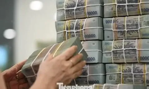 Công ty của 'hoa hậu doanh nhân thành đạt' nợ xấu hơn 90 tỷ