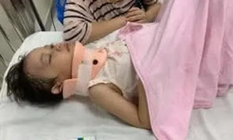 Tình trạng sức khỏe của bé gái bị bạn "được cho là trẻ tự kỷ" đẩy ngã từ cầu trượt cao 1,5m