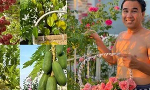 Đại gia Sài thành khoe khu vườn đẹp như resort riêng: Hóa ra đây chính là "xa xỉ phẩm" của người giàu