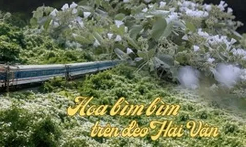 Việt Nam có cung đường đang xảy ra hiện tượng "tuyết mùa hè" phủ trắng đèo đẹp như phim