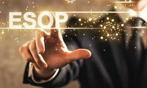 REE muốn phát hành ESOP