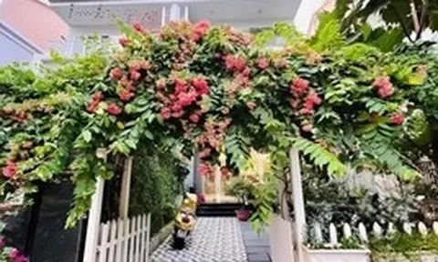 Nữ diễn viên cả đời đóng vai phản diện: U50 không muốn lấy chồng, một mình nuôi con trong biệt thự 4 tầng ở Sài thành
