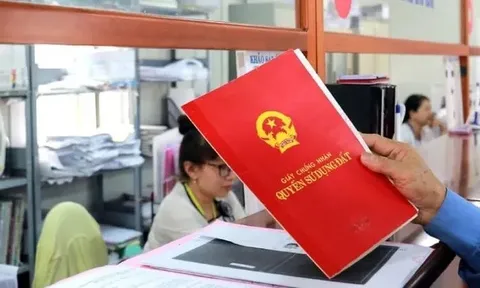 Số lượng sổ đỏ cấp lần đầu ở TP.HCM giảm mạnh