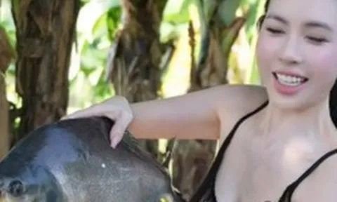 Câu cá giữa trời nắng 40 độ, hot girl bất ngờ viral MXH