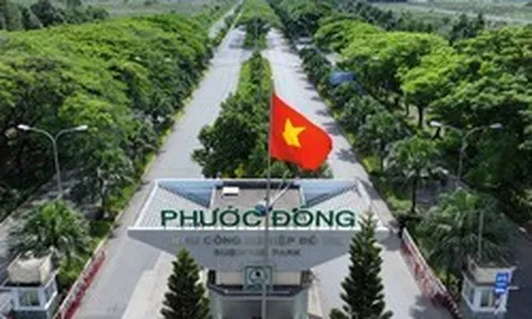 Chủ tịch Đầu tư Sài Gòn VRG 'sang tay' 3,7 triệu cổ phiếu SIP cho con