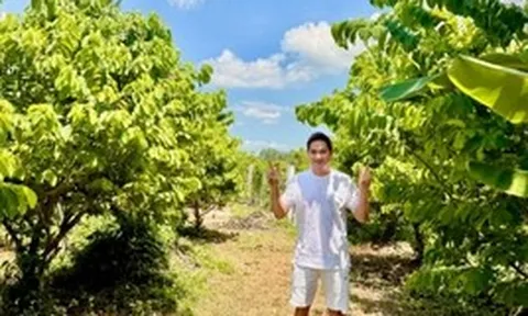 Nam nghệ sĩ Việt 41 tuổi chưa lấy vợ, từng bỏ phố về quê để làm "nông dân": Cơ ngơi 3.000m² giờ sum suê cây trái