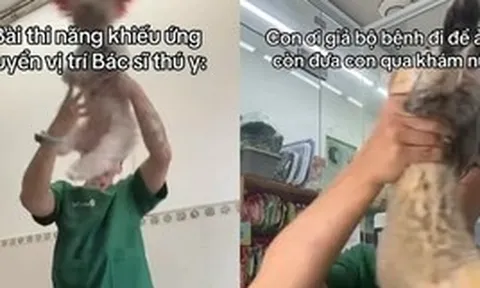 Bác sĩ thú y ở TP.HCM bị cho nghỉ việc sau vụ việc gây phẫn nộ