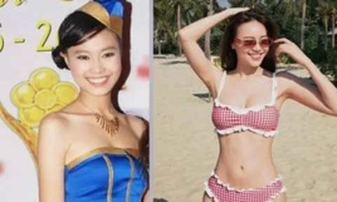 Ninh Dương Lan Ngọc đã làm gì suốt 15 năm qua?