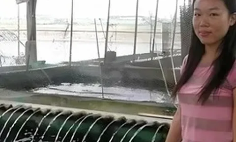 Phát hiện nữ sinh ĐH top đầu bỏ học để nuôi cá trả nợ 166,7 tỷ cho gia đình, sau này 1 con cá bán được hơn 33 tỷ