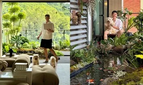 Hồ cá Koi trên ban công, cửa sổ view "4 mùa" của chàng trai lên núi xây nhà sống cùng 4 chú chó
