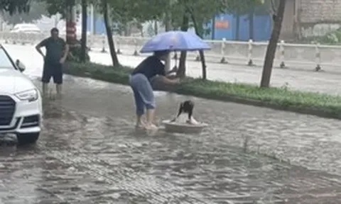 Đoạn clip vài giây trên phố ngày mưa ngập khiến hàng ngàn người ghen tỵ: Thật là 1 đứa trẻ GIÀU CÓ!