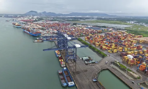Khu thương mại tự do TP.HCM có bước tiến mới